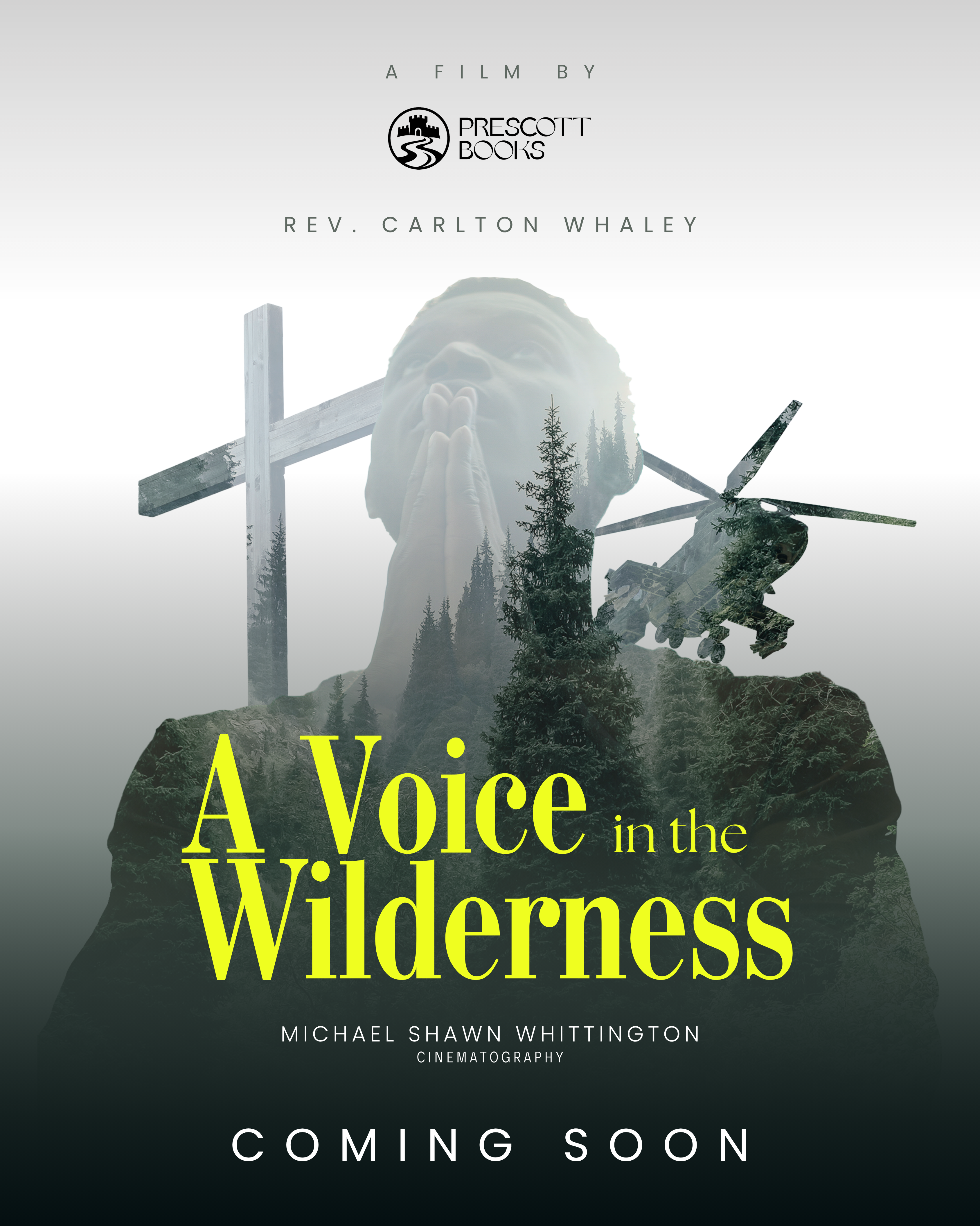 A Voice in the Wilderness — documentary poster